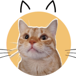 Kira Reminderfromacat.com