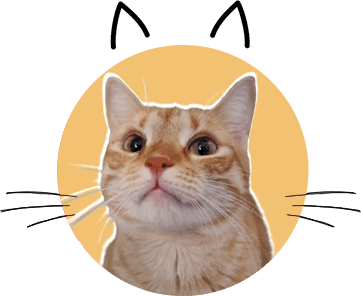 Kira Reminderfromacat.com