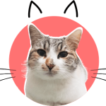 Mia Reminderfromacat.com