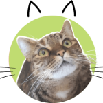 Molly Reminderfromacat.com
