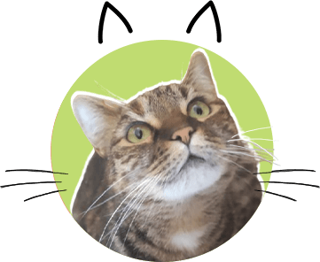 Molly Reminderfromacat.com