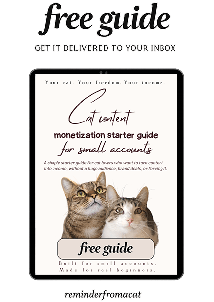 FREE GUIDE - Cat content monetization starter guide for small accounts