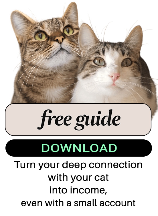FREE GUIDE - download - make money online with your cat - Let's get started - monetize your cat